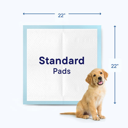 Stack Man absorbent chucks bed pads protecting furniture and mattress surfaces from accidents.