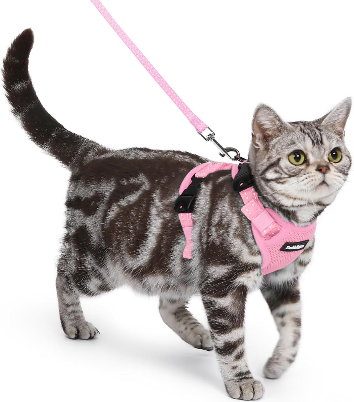 rabbitgoo Easy-on Cat Harness and Leash with Neck Buckle, S, Black | Escape Proof, No Over-the-head, Lockable Adjusters, 3 Secure Buckles, Soft Air Mesh, Reflective, for Average Adult Cats Walks - Image 14