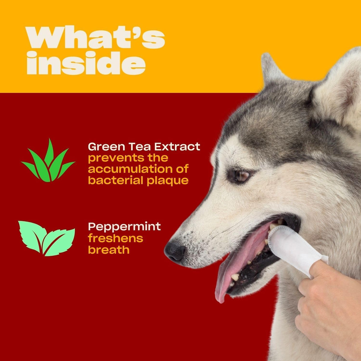 Textured pet dental finger pocket wipe close up details
