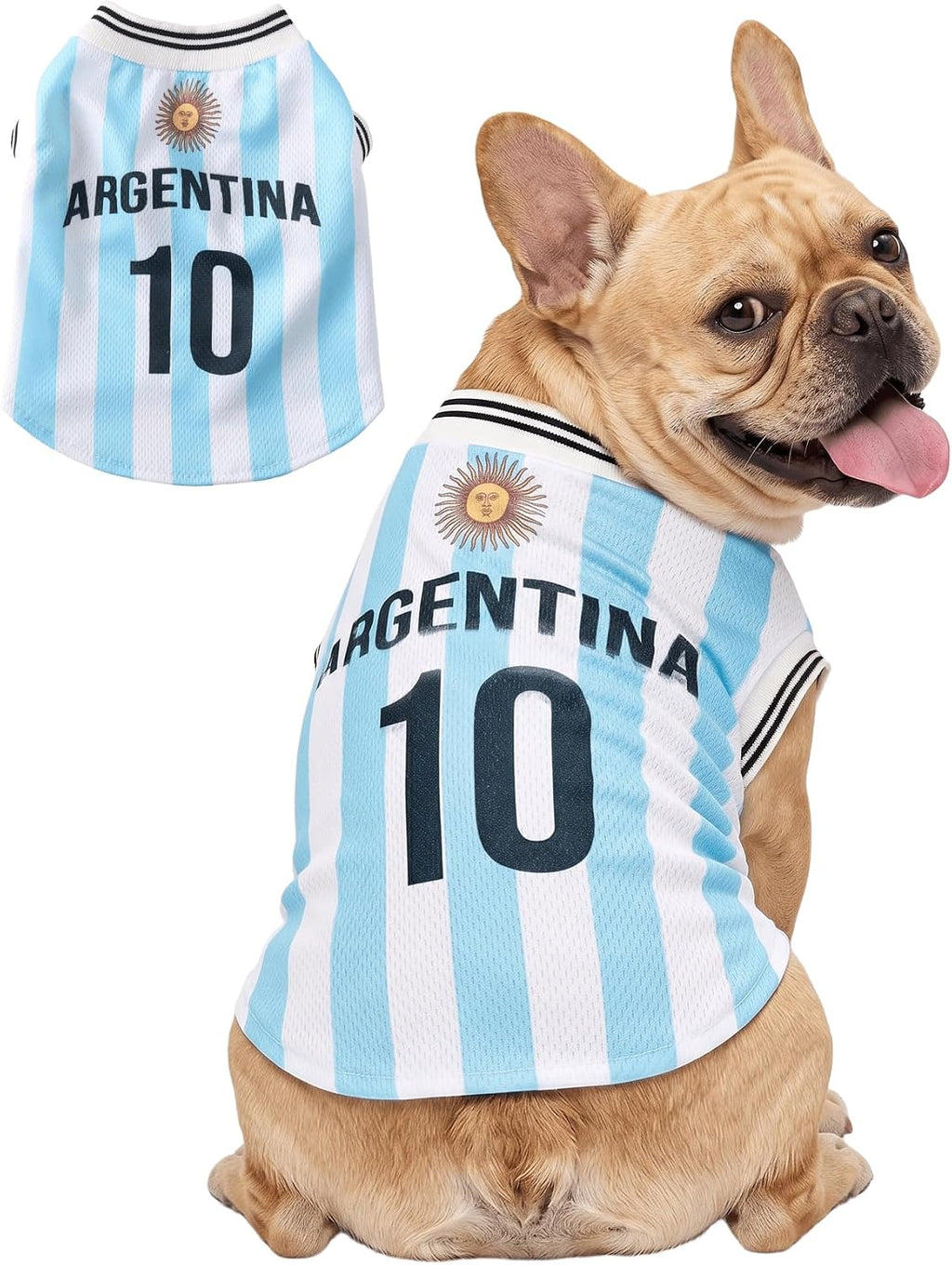 DroolingDog Argentina soccer jersey for small dogs front view