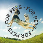 Detailed product label of Bark2Basics 16 fluid ounce shampoo and conditioner