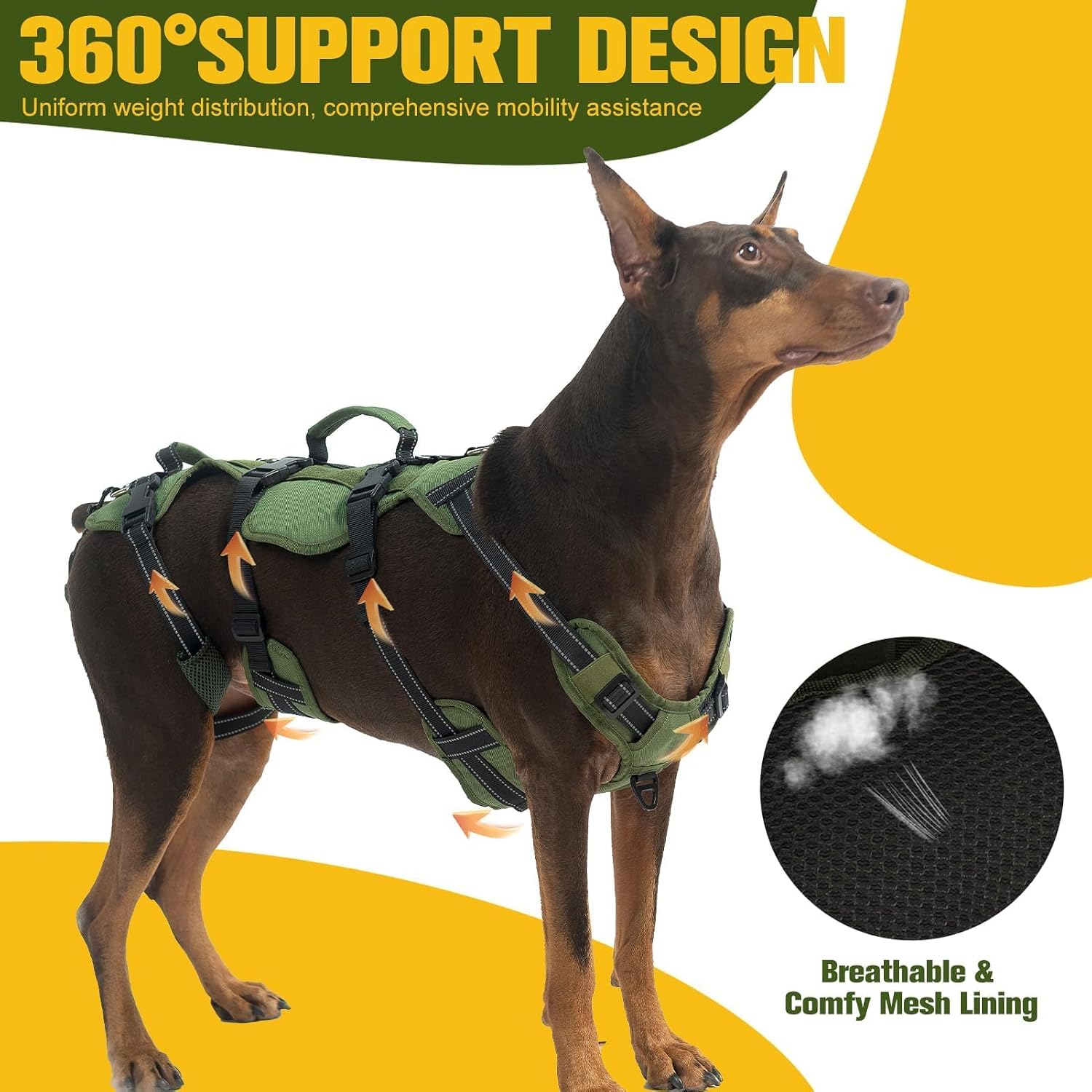 Close up of adjustable straps on Bingpet full body harness