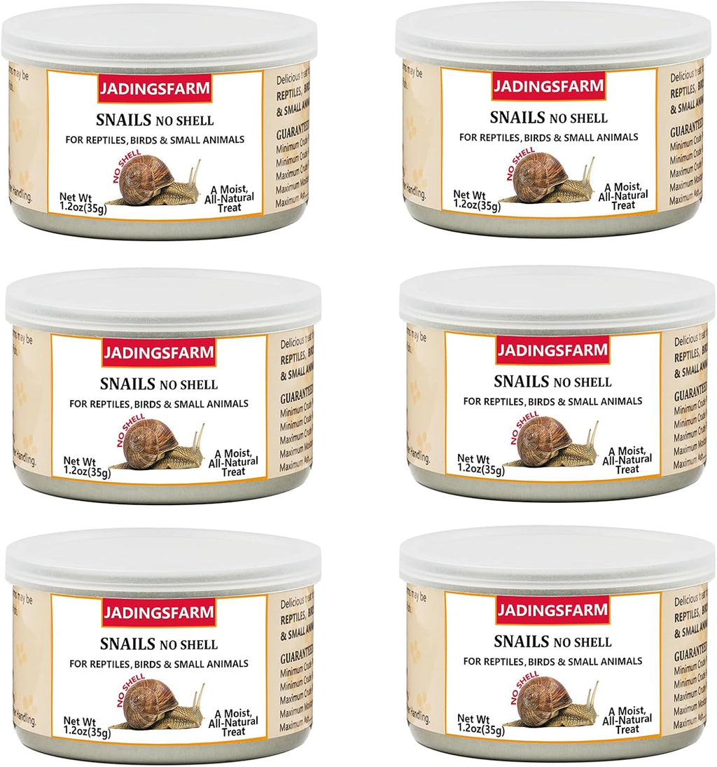 6 Pack Canned Crickets for Reptiles, Fish, Birds and Small Animals, Crickets, Healthy High Protein Treat, Reptile Bird Fish Food 7.2 Ounces Total - Image 12