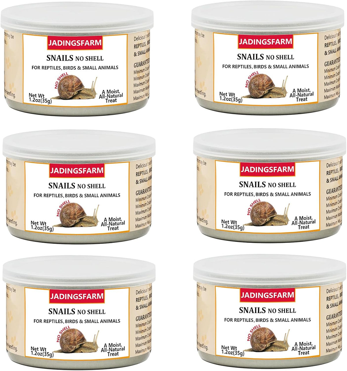 6 Pack Canned Crickets for Reptiles, Fish, Birds and Small Animals, Crickets, Healthy High Protein Treat, Reptile Bird Fish Food 7.2 Ounces Total - Image 12