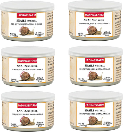 6 Pack Canned Crickets for Reptiles, Fish, Birds and Small Animals, Crickets, Healthy High Protein Treat, Reptile Bird Fish Food 7.2 Ounces Total - Image 12