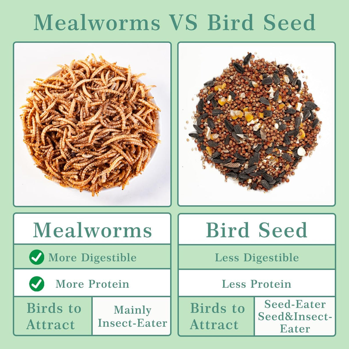 WORMSKING Dried Mealworms for Wild Birds and Chicken, 2LB | For Poultry, Tasty Bird Food, Great Bird Watching Gift - Image 5