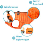 Close up of dual D-ring leash attachment on Gooby vest