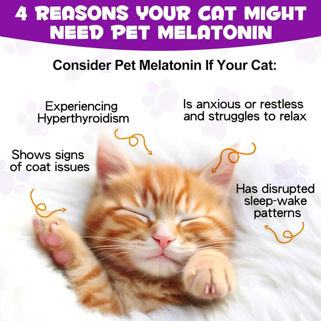 Asusxcli soothing dietary supplement for kittens and senior cats