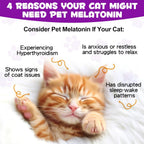 Asusxcli soothing dietary supplement for kittens and senior cats