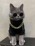 Authentic QWINEE imported puppy apparel kit featuring gold chain necklace and dark glasses
