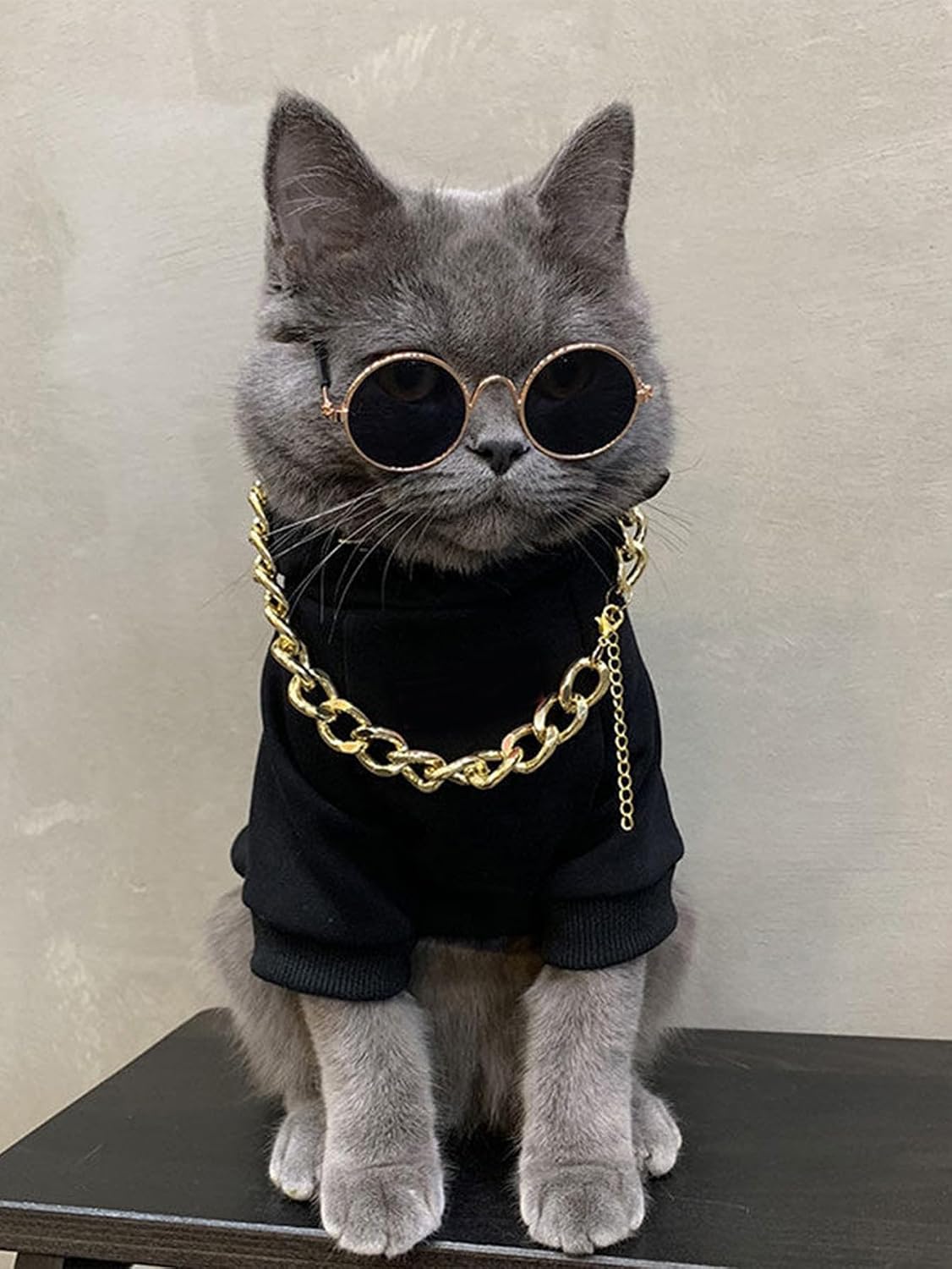 Authentic QWINEE imported puppy apparel kit featuring gold chain necklace and dark glasses