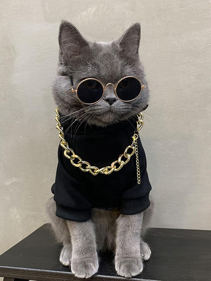 Authentic QWINEE imported puppy apparel kit featuring gold chain necklace and dark glasses