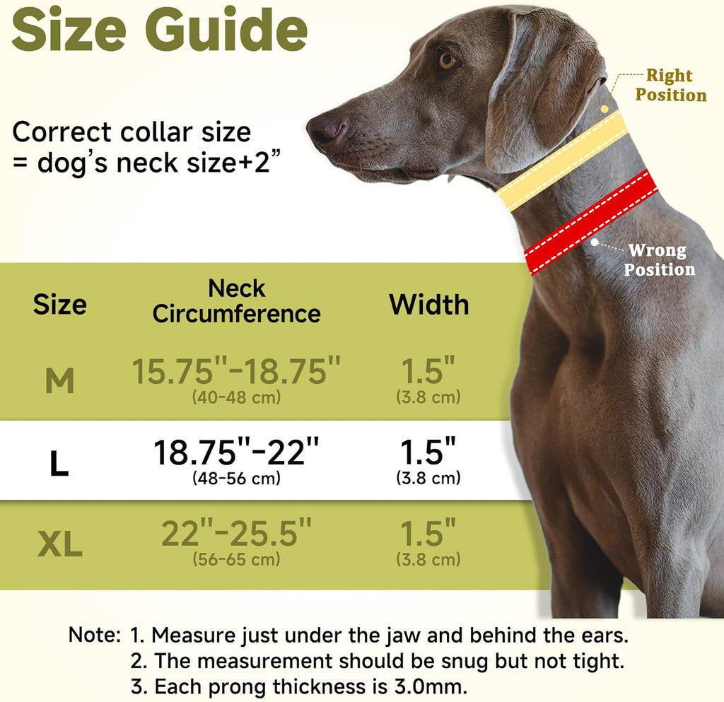 Close up of Mayerzon collar neoprene padding