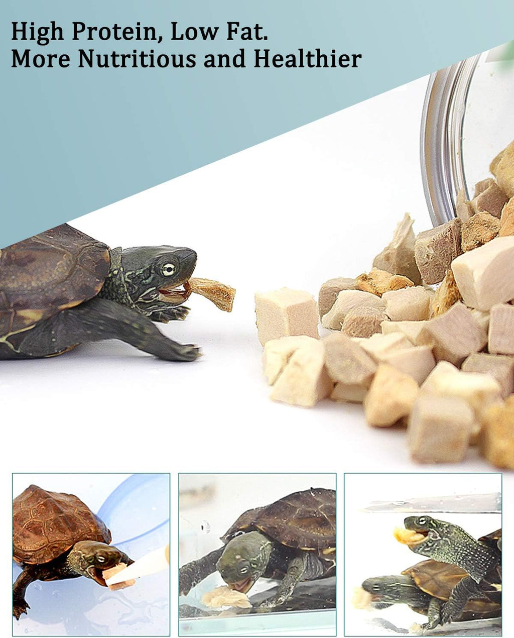 Freeze dried meat treats for aquatic reptiles in a bowl