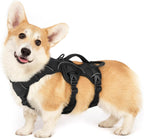 rabbitgoo Escape Proof Dog Harness, Soft Padded Full Body Pet Harness, Reflective Adjustable No Pull Vest with Lift Handle and Leash Clip for Large Dogs Walking Hiking Training, L, Black - Image 14