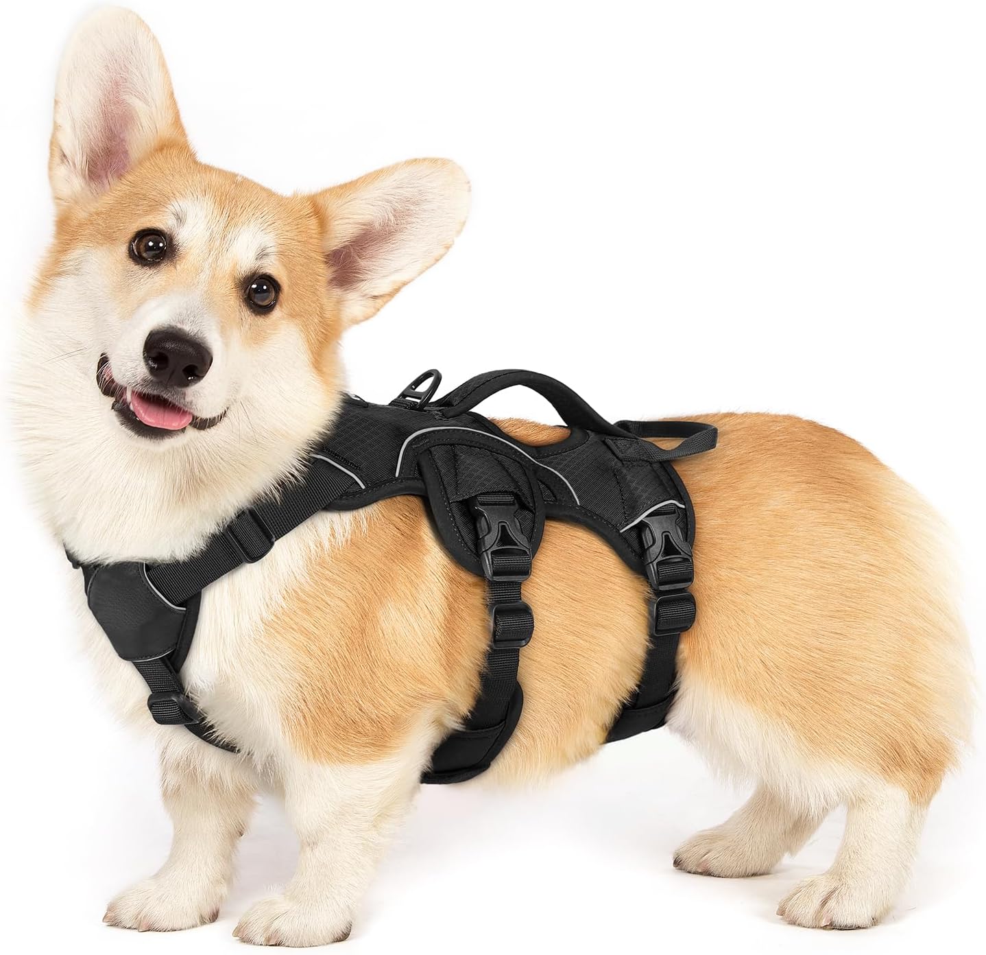 rabbitgoo Escape Proof Dog Harness, Soft Padded Full Body Pet Harness, Reflective Adjustable No Pull Vest with Lift Handle and Leash Clip for Large Dogs Walking Hiking Training, L, Black - Image 14
