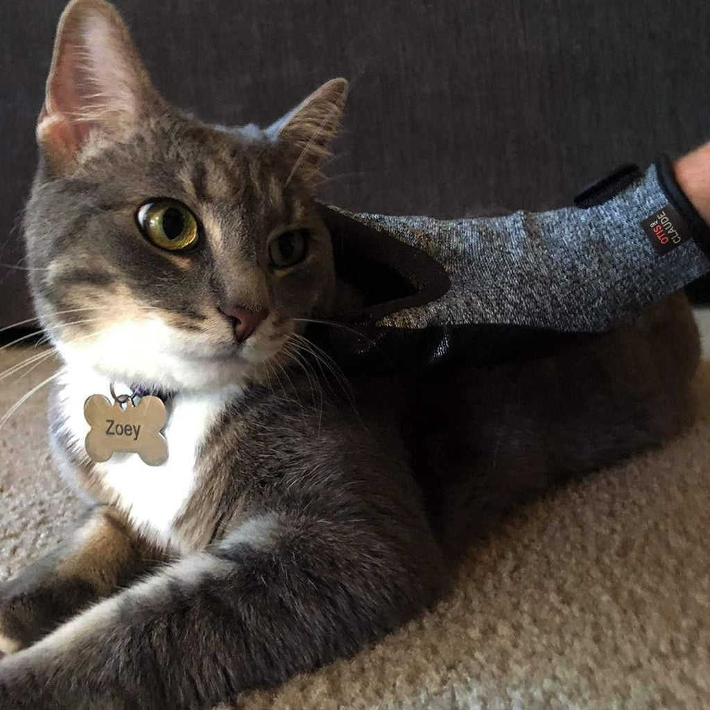 Otis and Claude grooming gloves being used to massage a cat
