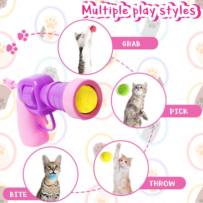 Demonstration of cat chasing launched plush ball