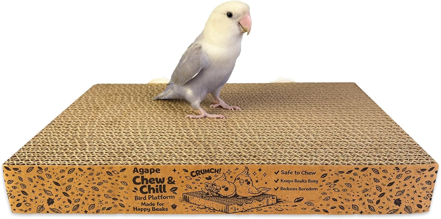 Agape bird cardboard platform packaged and ready for cage installation.
