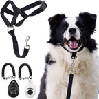 Whiskerage gentle leader dog headcollar front view showing the padded neoprene nose loop.