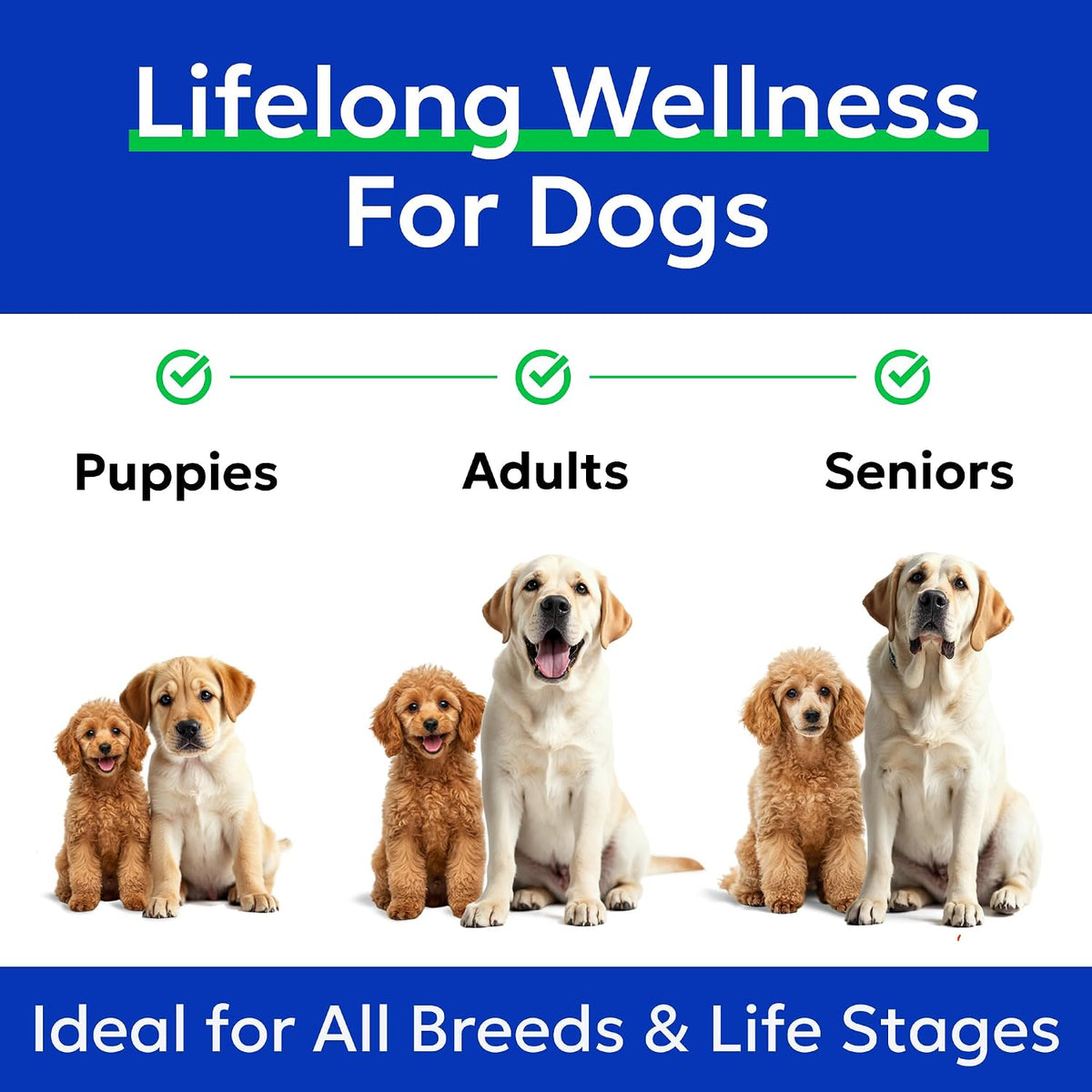 BARK&SPARK premium USA imported salmon and pollock oil liquid bottle for natural dog wellness