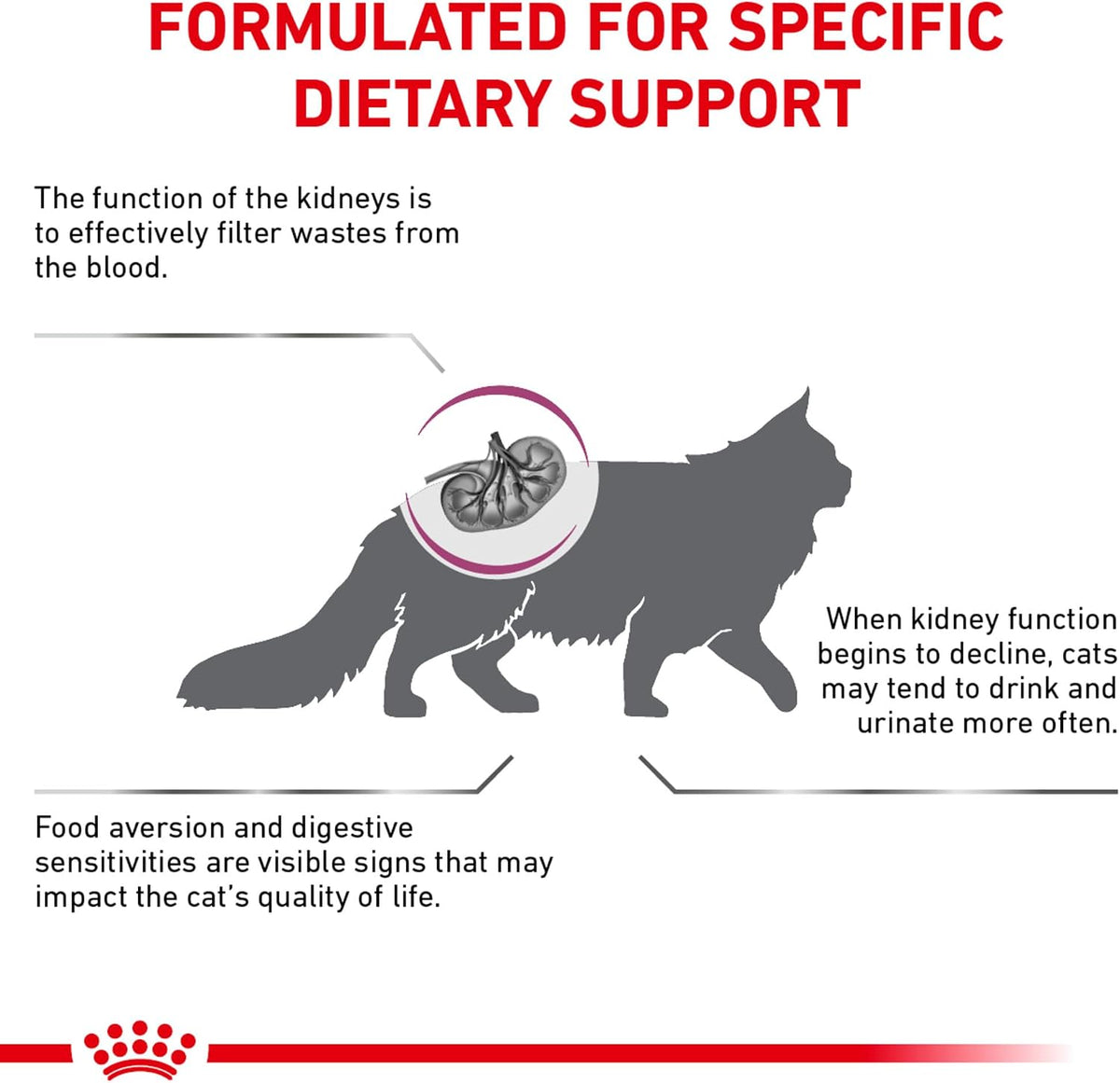 Royal Canin therapeutic dry cat food kibble texture