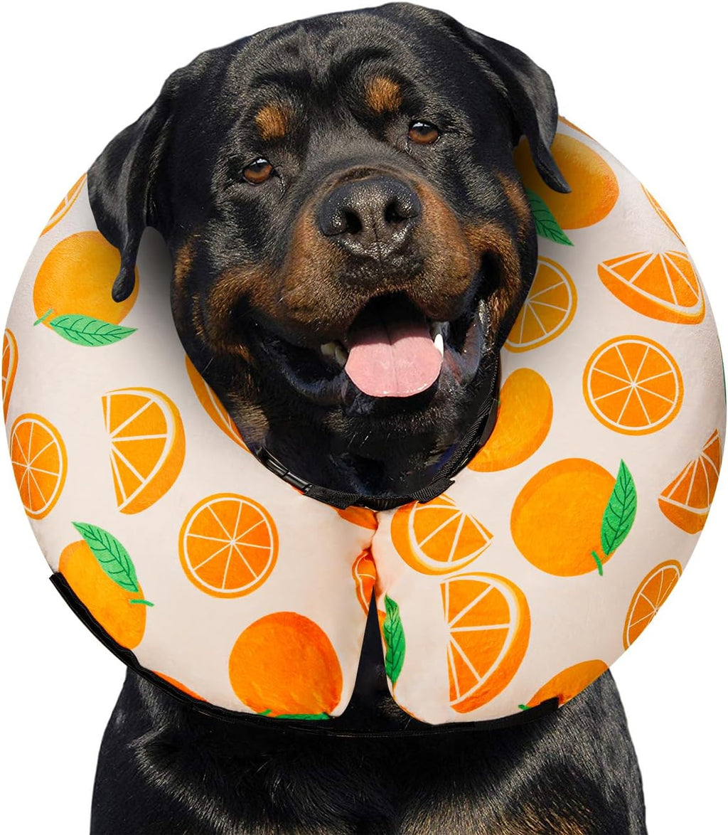 MIDOG Inflatable Dog Cone, Soft Donut Recovery Collar Alternative After Surgery to Help Prevent Licking, Comfy E Collar with Neck Pillow Design, Grey, XL - Image 9