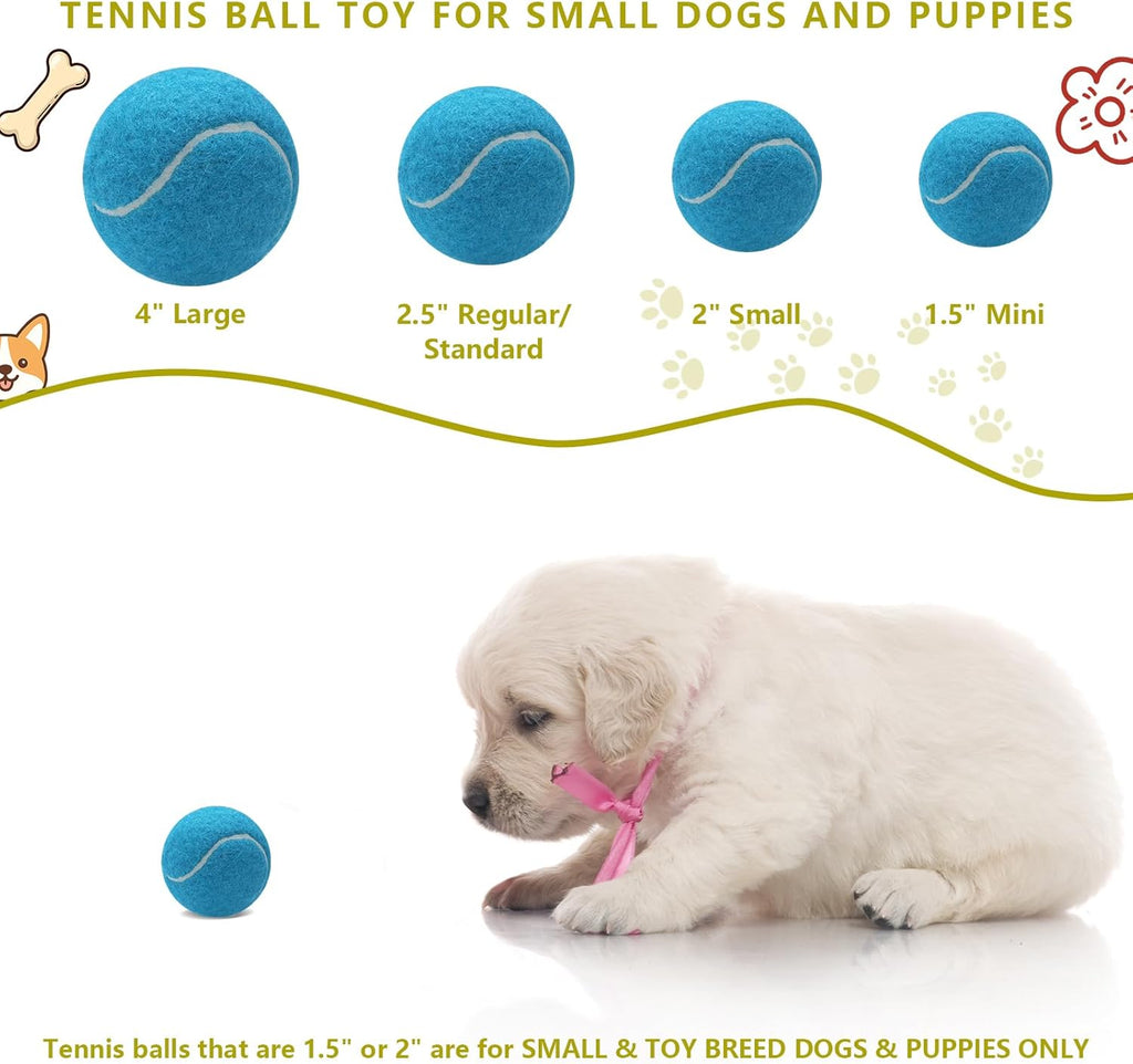 Small dog playing with squeaky tennis ball