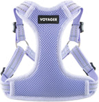 Best Pet Supplies Voyager Adjustable Step-in Flex Breathable Mesh Dog Harness for Small Medium Large Dogs Moss Green, S - Image 15