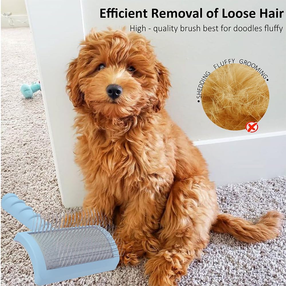 Pet slicker brush top view illustrating the high density soft needle distribution