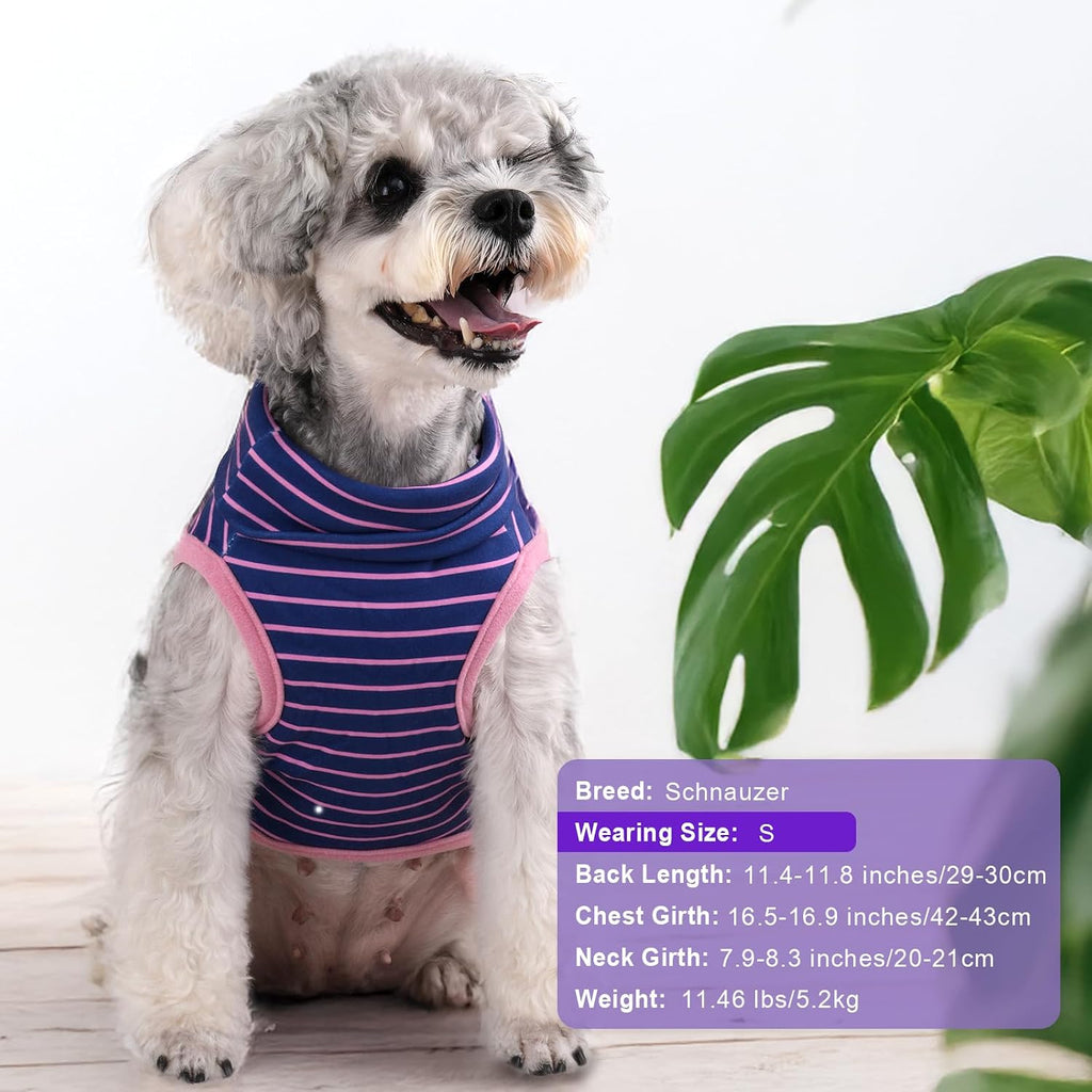 BAOBICUTE premium pet apparel back view featuring leather brand label