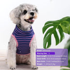 BAOBICUTE premium pet apparel back view featuring leather brand label