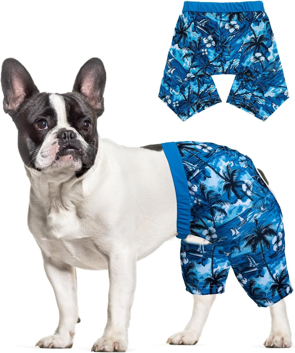 CuteBone dog swim trunks Hawaii DST03M front view on a pet