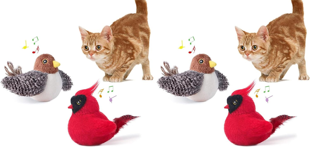Package of Potaroma interactive kitty exercise toys