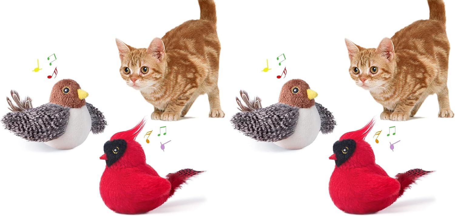 Package of Potaroma interactive kitty exercise toys