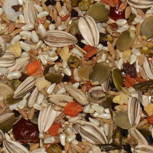 Close up of Volkman Eclectus bird food seed and fruit blend