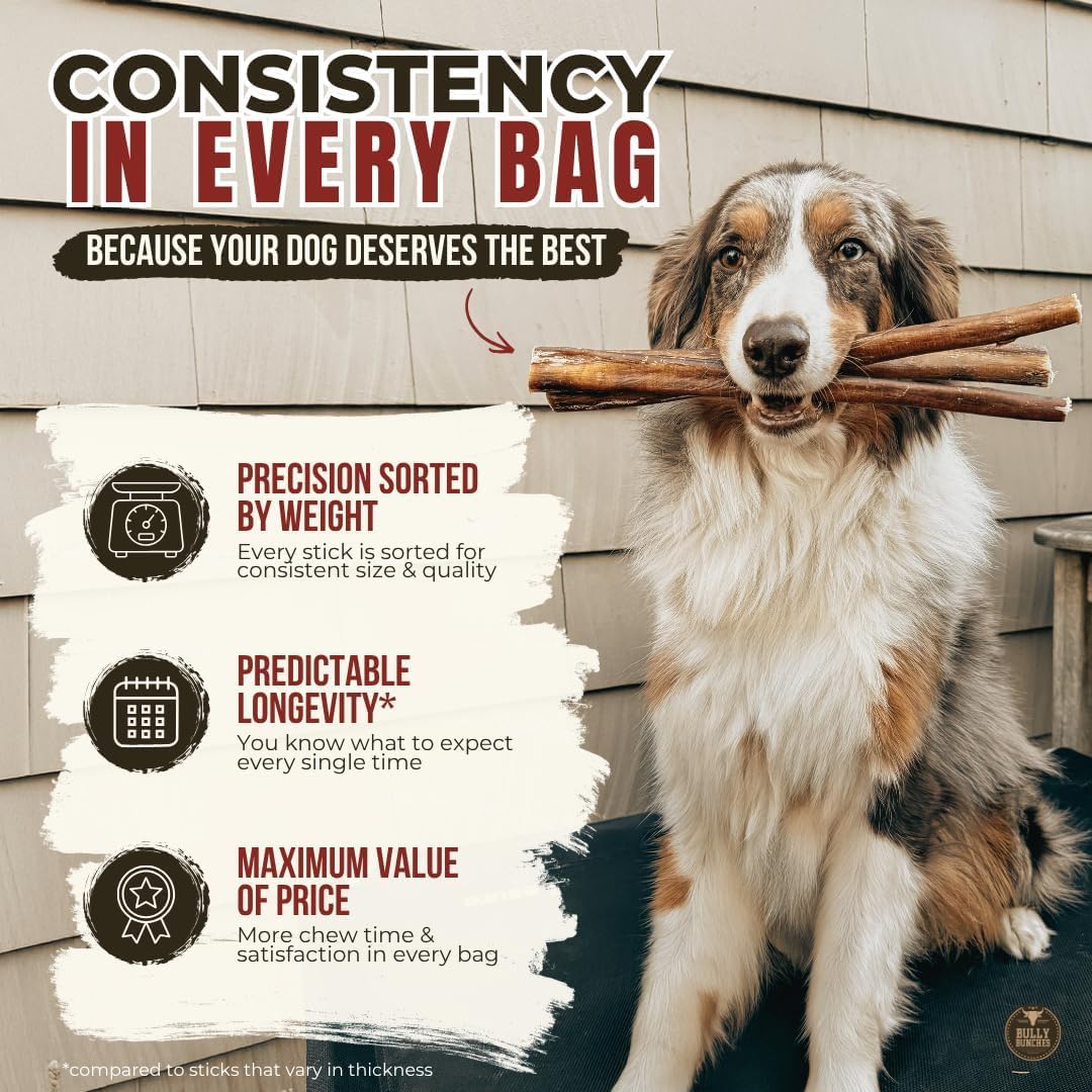 Ethically sourced free range cattle beef sticks for aggressive chewers