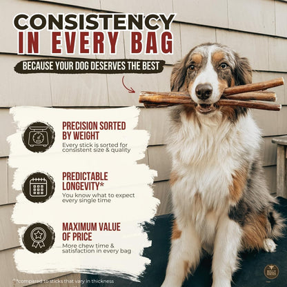 Ethically sourced free range cattle beef sticks for aggressive chewers