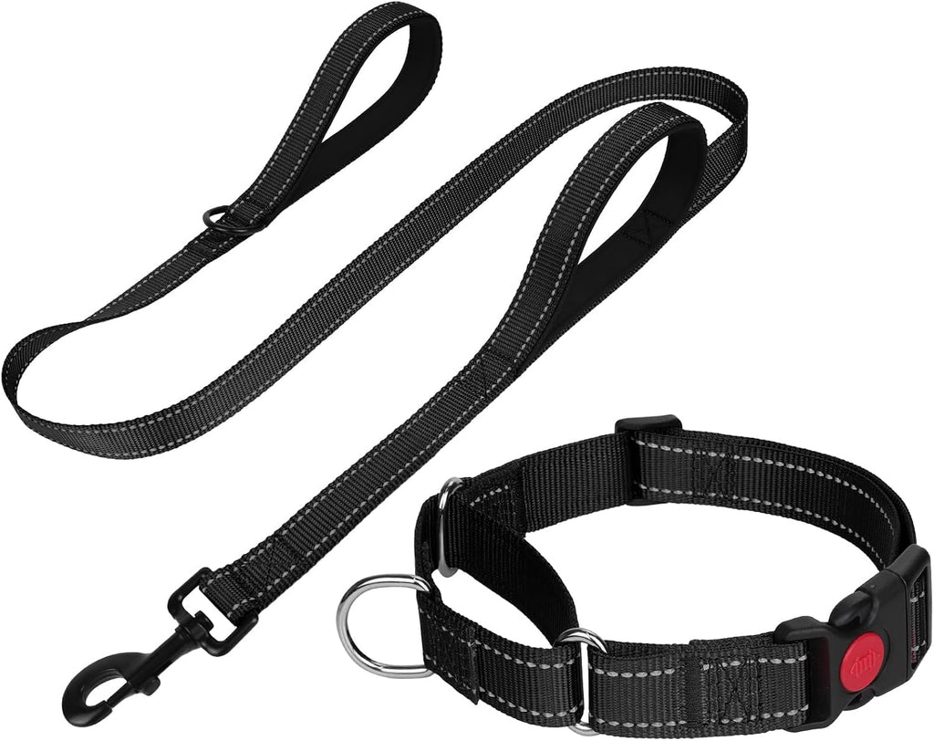 FunTags hotpink training collar and lead combo side angle view