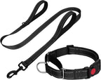 FunTags hotpink training collar and lead combo side angle view