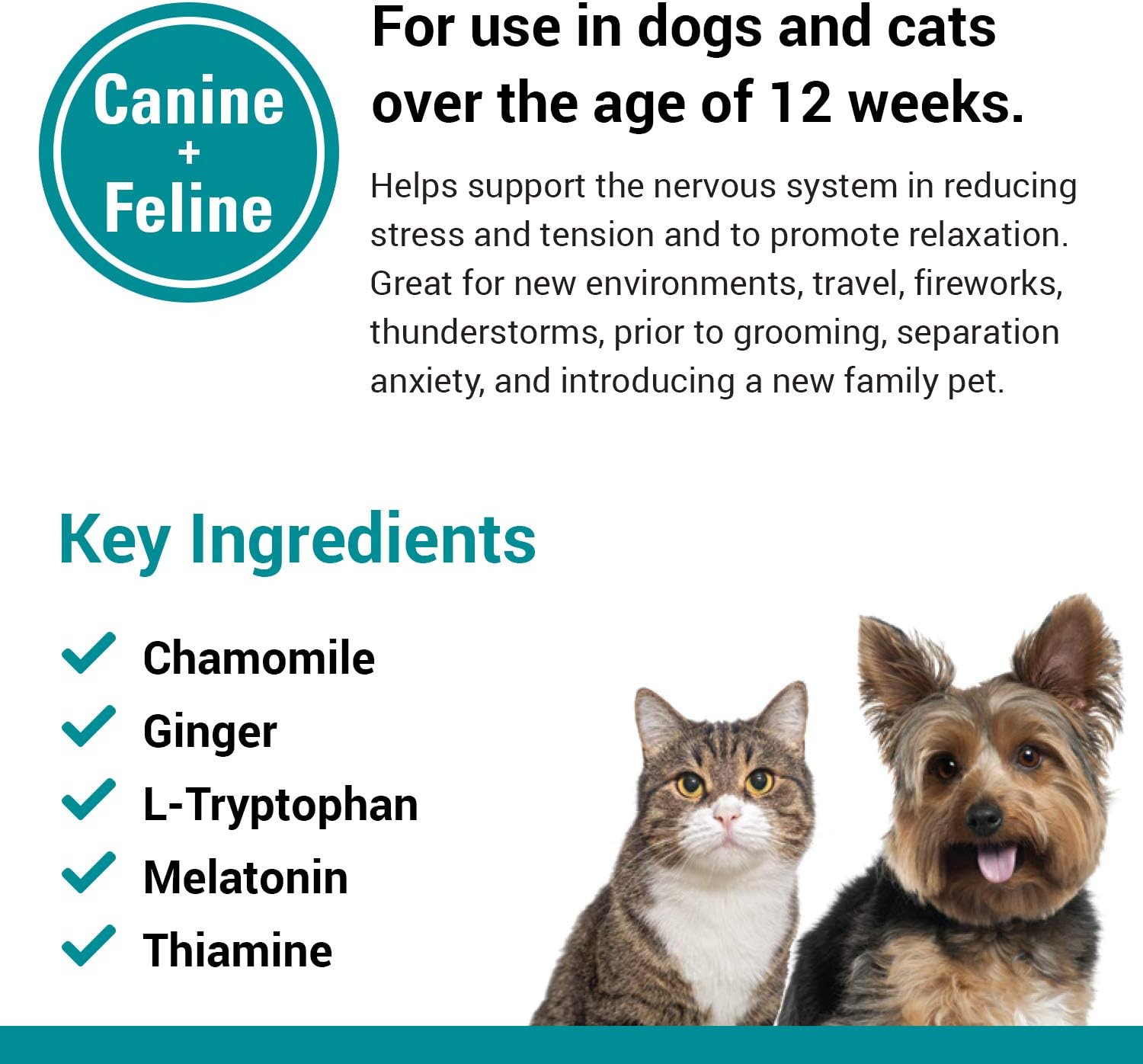 Close up of the palatable soft chew texture designed for easy feeding to dogs and cats