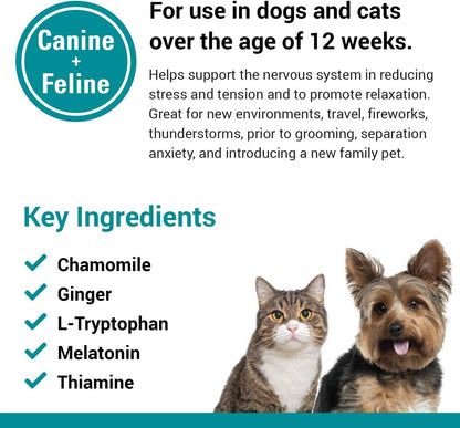 Close up of the palatable soft chew texture designed for easy feeding to dogs and cats