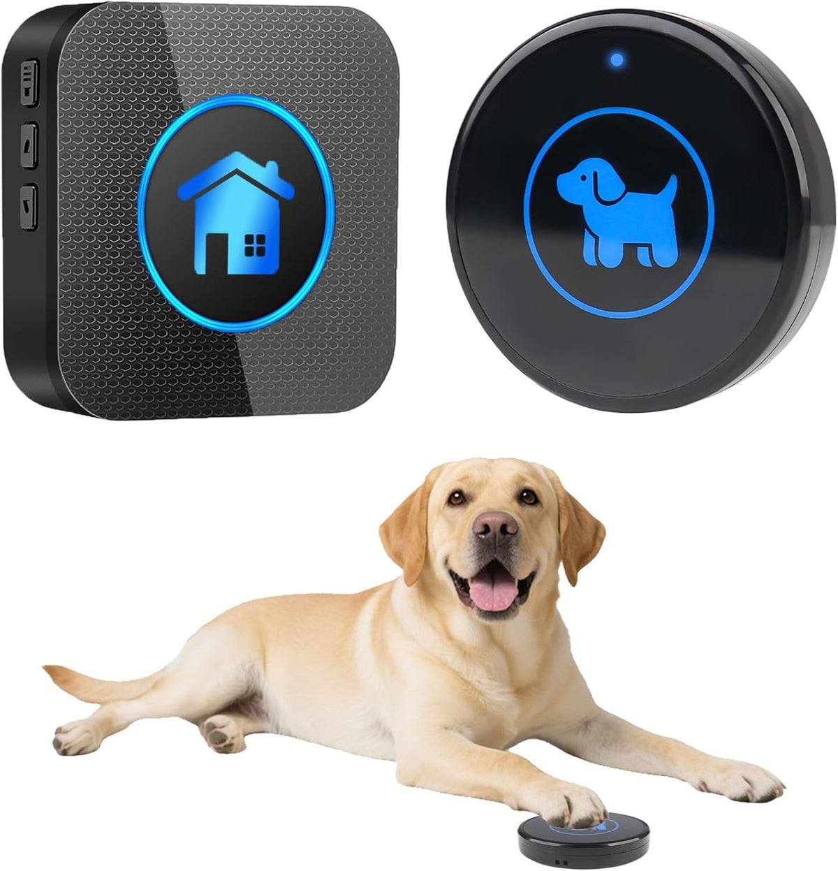 Dog Door Bell 2026 Enhanced Touch, Wireless Doggie Doorbell for Potty Training to Go Outside, IP65 Waterproof, 1000ft Range, 55 Melodies, 5 Modes & Adjustable Volume (2 Buttons) - Image 13