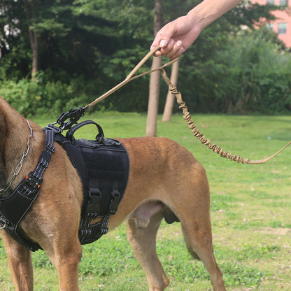 ICEFANG K9 training walking bungee lead reflective brown variant extended