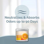 Smells Begone energizing citrus odor neutralizing gel for pet areas