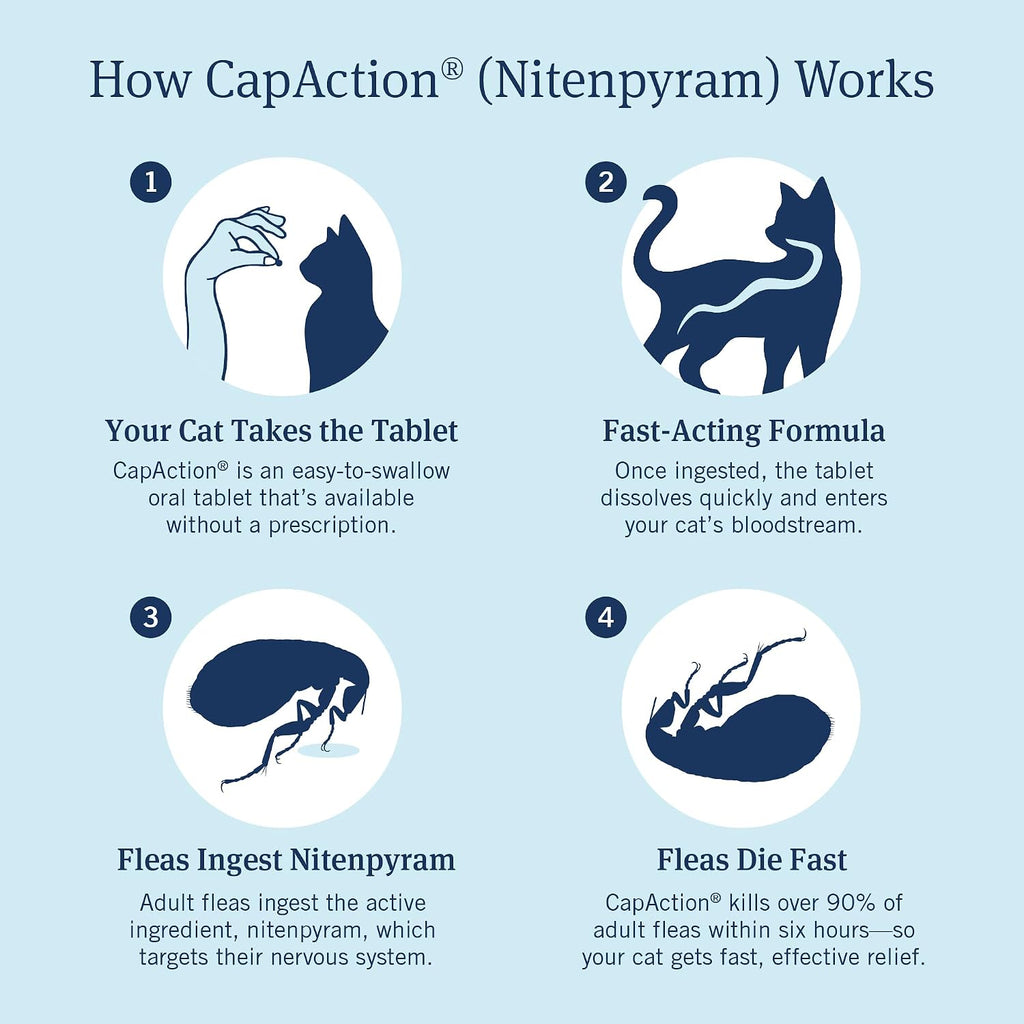 PetArmor CAPACTION six count flea treatment tablets for cats side panel instructions