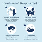 PetArmor CAPACTION six count flea treatment tablets for cats side panel instructions