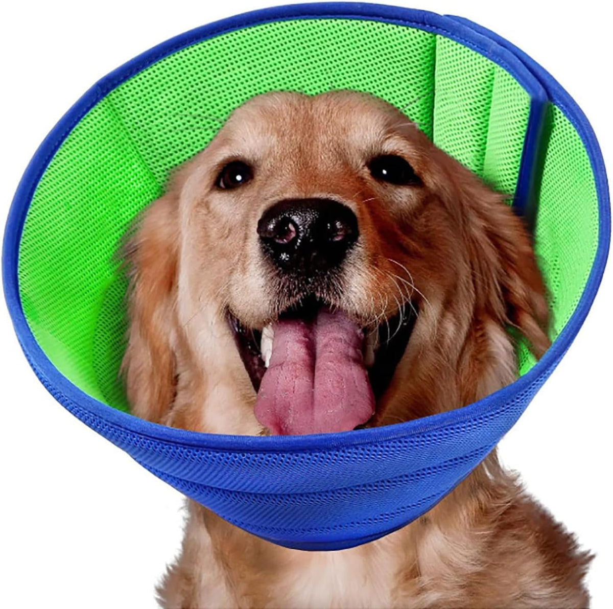 LH NTGR soft dog cone front view breathable recovery collar for large dogs