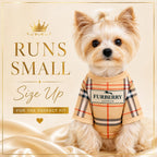 Everything Chic dog shirt tailored fit back view