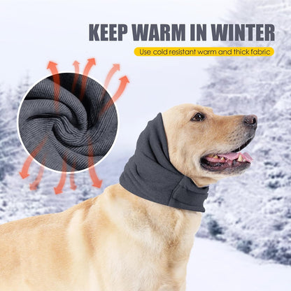 Grey pet headwear being used on a dog for food protection and cleanliness